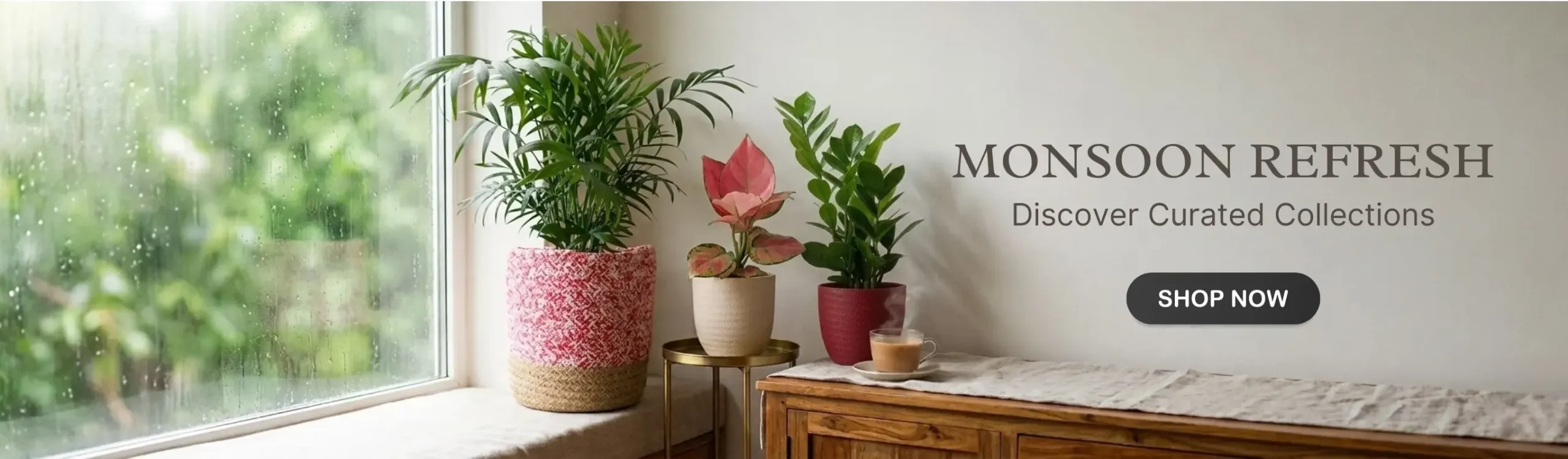 imgi_3_indoor-plant-plants-Monsoon-month-sale-2026-banner-D-greenkin