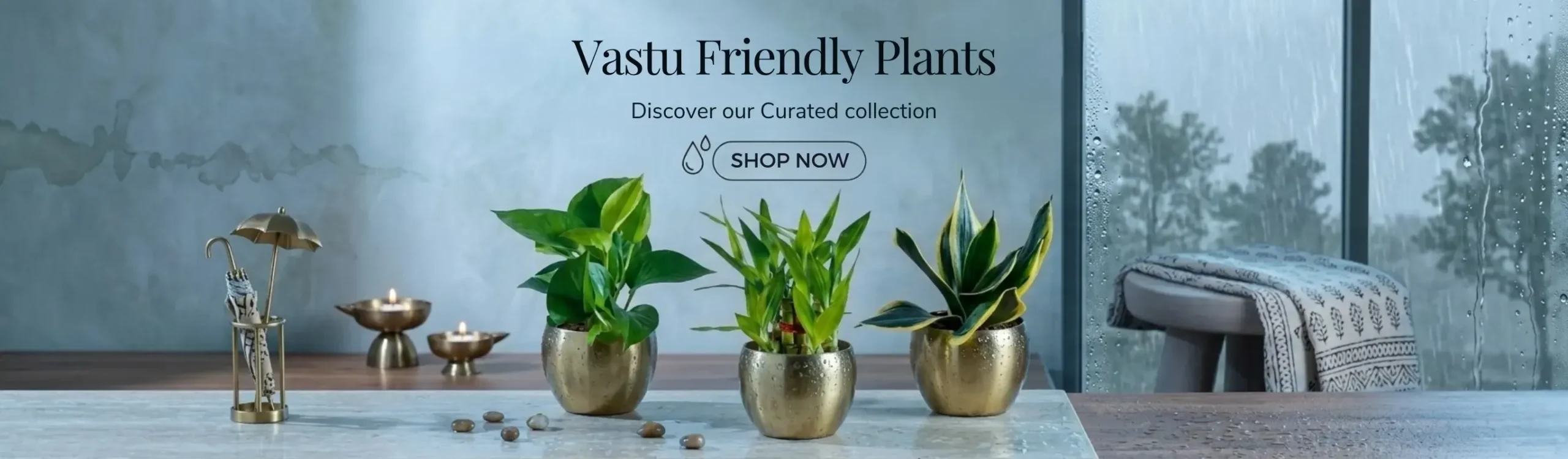 imgi_4_vastu-plants-set-monsoon-month-sale-2026-banner-D-greenkin